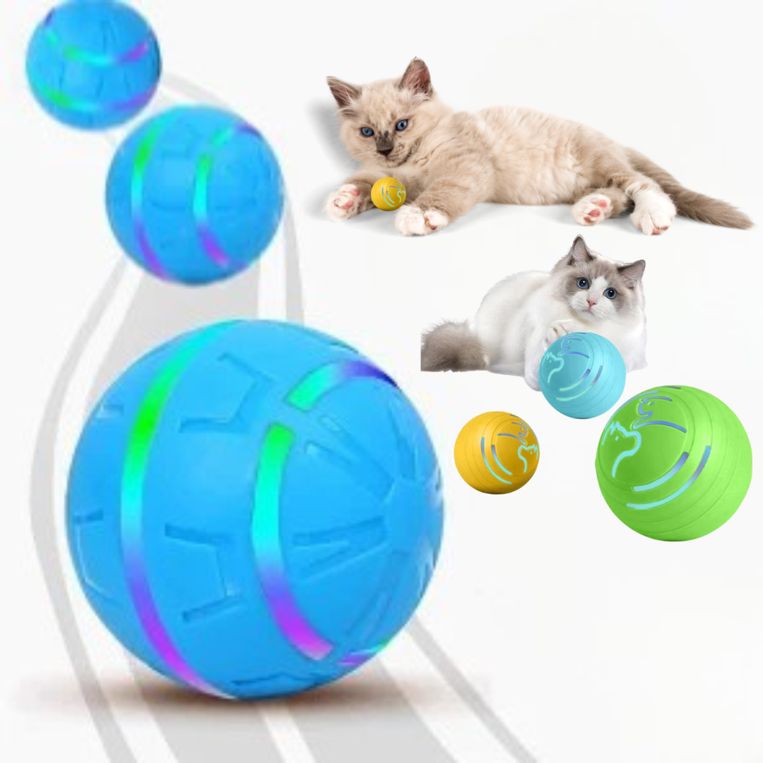 CleanCat Ball