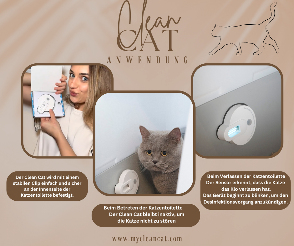 CleanCat